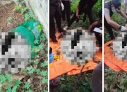 Warga Manggala Dikejutkan Temuan Tulang Belulang Manusia di Tanah Kosong