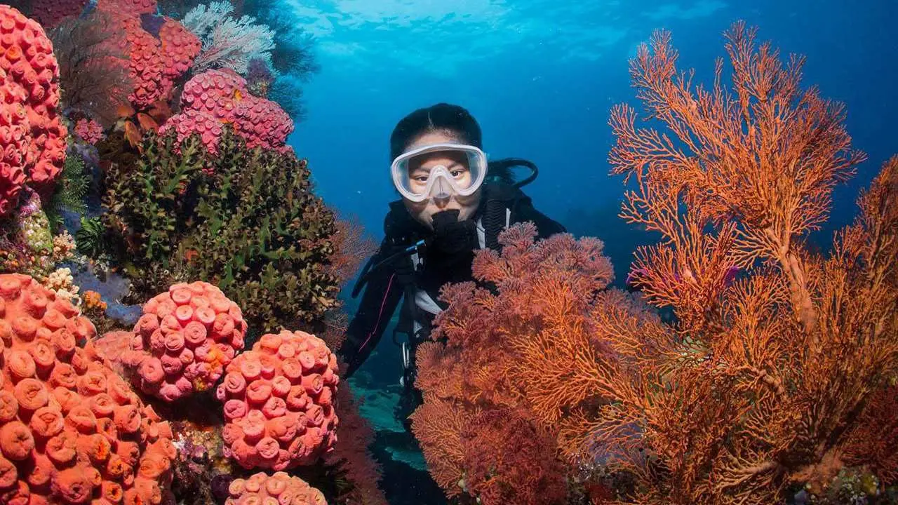 Jelajahi “Surga Tersembunyi” di Indonesia Timur dengan Rute Baru Transnusa