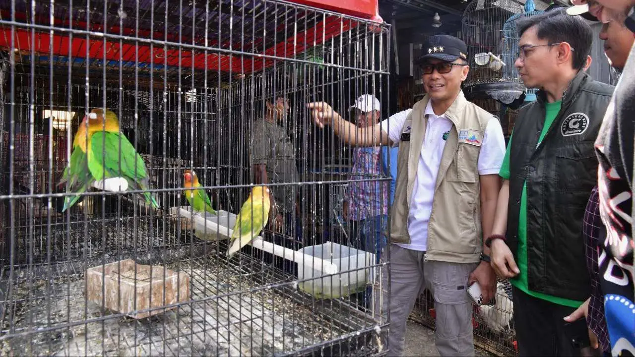 Inspiratif, Penjabat Gubernur Prof Zudan Lepas Liarkan 80 Burung ke Alam Bebas