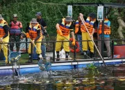 Peringati Hari Lingkungan Hidup Sedunia, PLN Gelar Aksi Bersih dan Olah Sampah di 54 Lokasi se-Indonesia