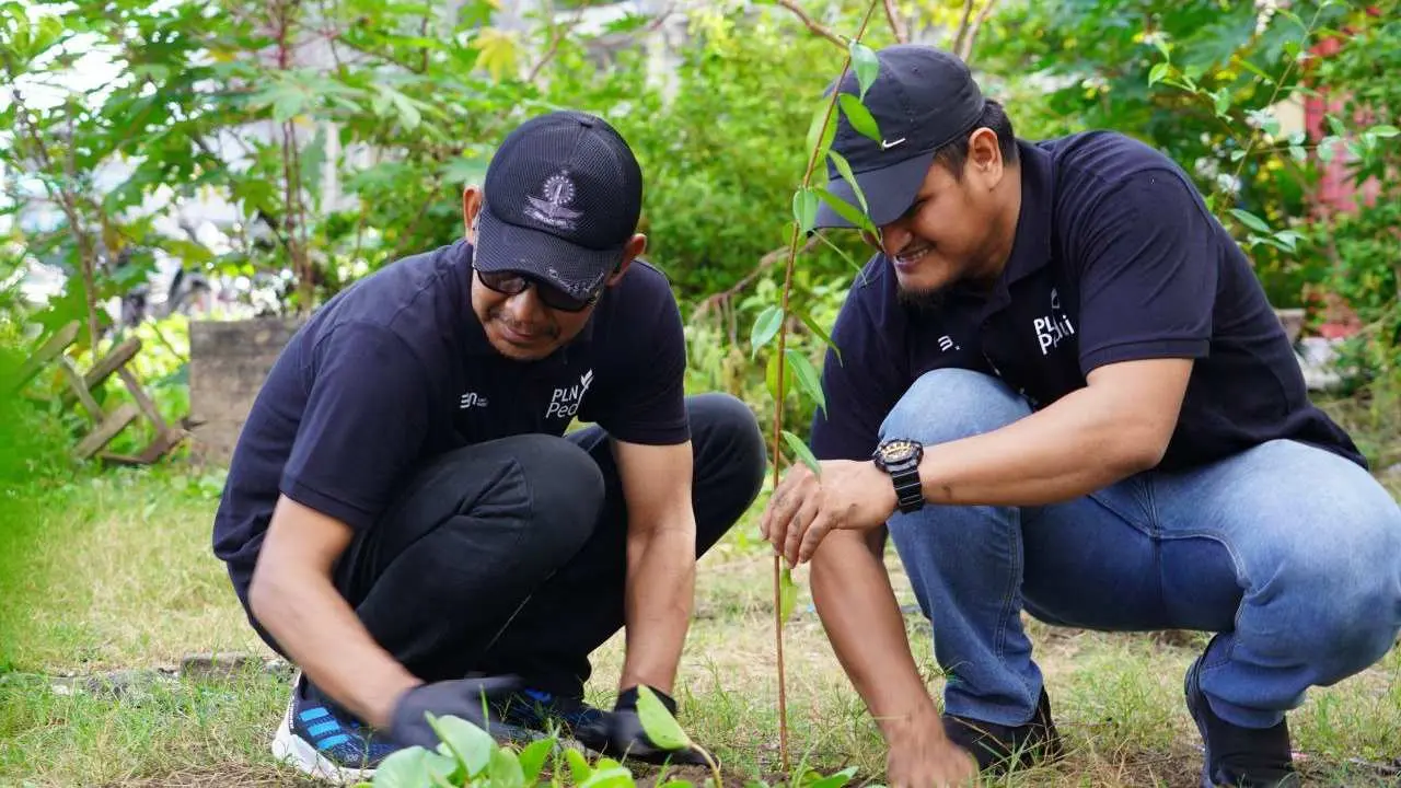 Hari Lingkungan Hidup Sedunia, Ratusan Pegawai PLN Inisiasi Tanam Pohon Produktif