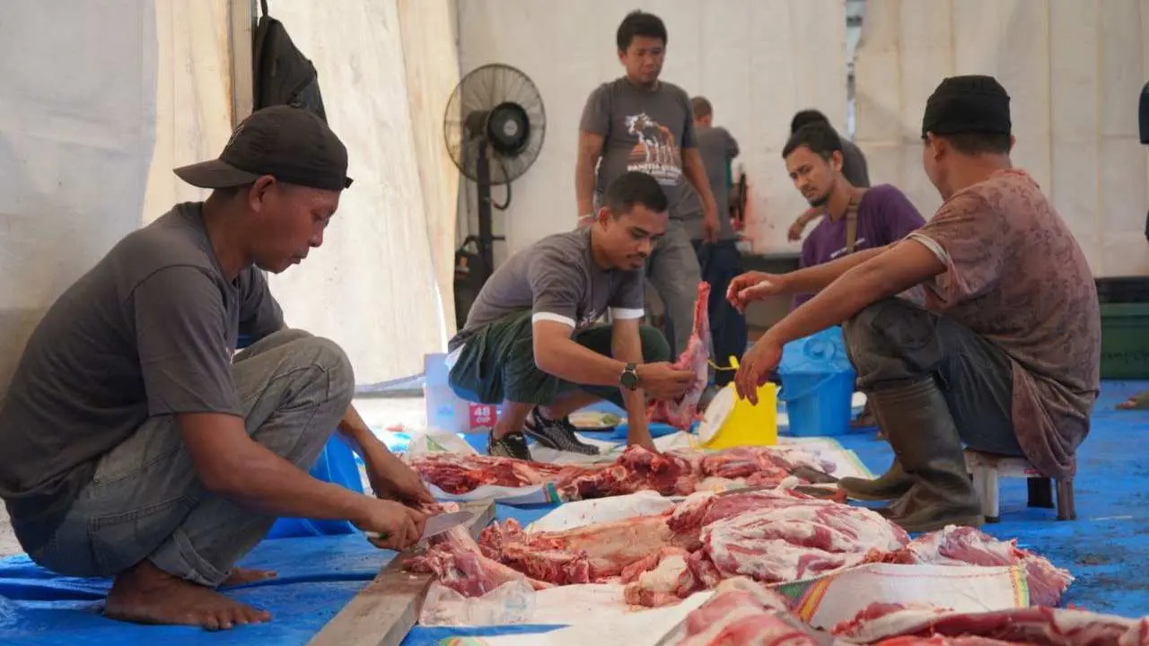 Iduladha 1445H: PLN UID Sulselrabar Bagikan 5 Ton Daging Hasil 74 Ekor Hewan Kurban 3 Iduladha 1445H: PLN UID Sulselrabar Bagikan 5 Ton Daging Hasil 74 Ekor Hewan Kurban