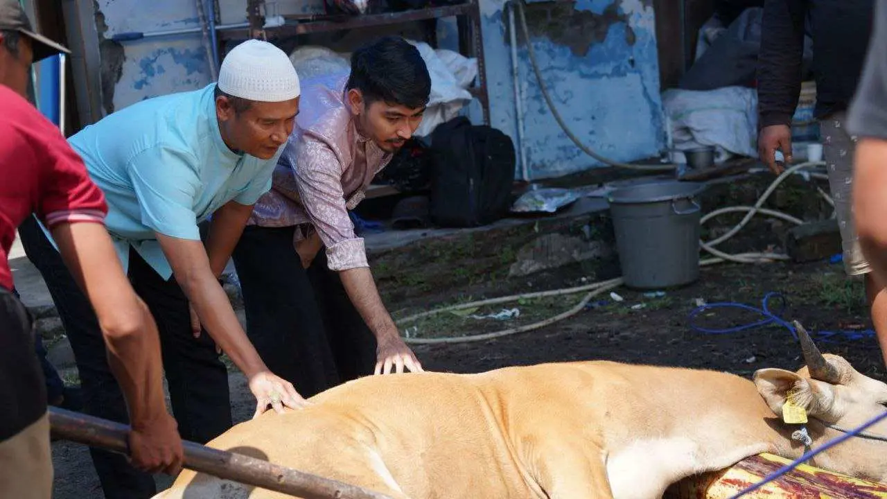 Iduladha 1445H: PLN UID Sulselrabar Bagikan 5 Ton Daging Hasil 74 Ekor Hewan Kurban 4 Iduladha 1445H: PLN UID Sulselrabar Bagikan 5 Ton Daging Hasil 74 Ekor Hewan Kurban
