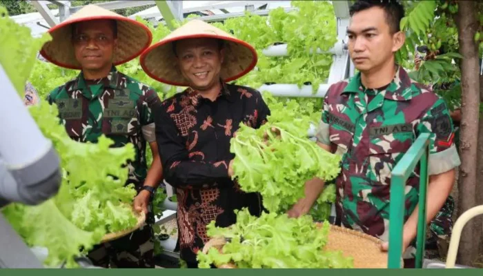 Dinas Ketahanan Pangan Dorong Kemandirian Pangan Lorong Wisata melalui Pengembangan KWT