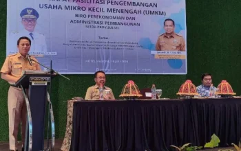 Pemprov Sulsel Dorong Pengembangan UMKM melalui Digitalisasi 4 Pemprov Sulsel Dorong Pengembangan UMKM melalui Digitalisasi