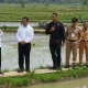 Presiden Jokowi & Pj Gub Prof Zudan Kunjungi Bantaeng Tinjau Potensi Peningkatan Produksi Pertanian dari Bantuan Pompa Air