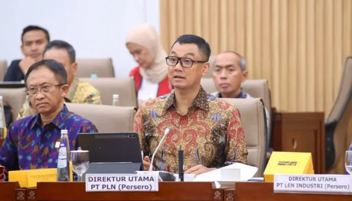 PLN Ajukan 3 Triliun PMN 2025 Untuk Bangun Kelistrikan Daerah Terpencil