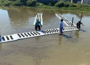 Inovasi Padi Apung Mahasiswa Unhas untuk Ketahanan Pangan di Desa Moncongloe, Maros