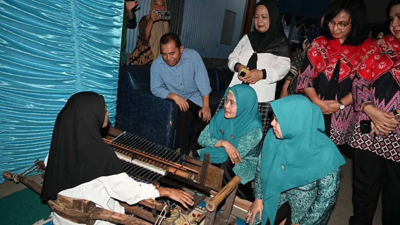 Pj Ketua TP PKK Ninuk Zudan Serahkan Bantuan untuk Kelompok Tenun Sutera di Pinrang