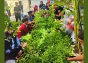 Terapkan Pertanian Modern di Perkotaan, Mahatani Unhas Panen Sayur Bersama Masyarakat