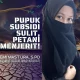 Pupuk Subsidi Sulit, Petani Menjerit!