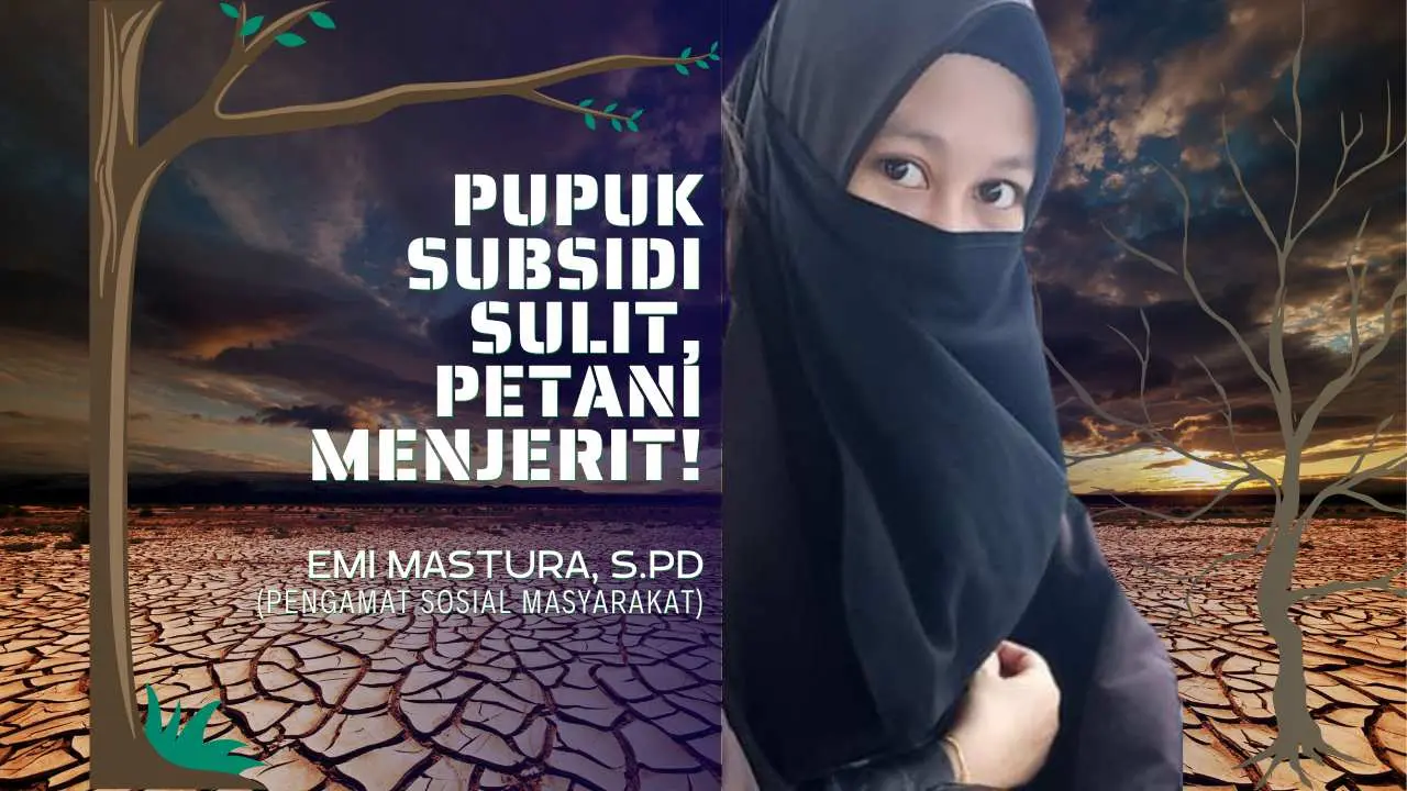 Pupuk Subsidi Sulit, Petani Menjerit!