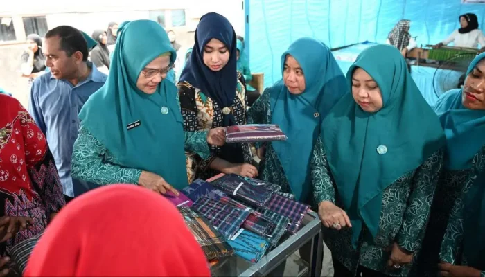 Buka Rakerda Dekranasda Pinrang, Ninuk Zudan Harap Program Kerja yang Disusun Bantu Tingkatkan Daya Saing Para Pengrajin