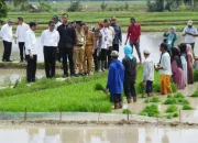 Penjabat Gubernur Prof Zudan Dampingi Presiden Jokowi dan Mentan Amran Kunker di Kabupaten Bone