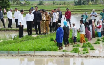 Penjabat Gubernur Prof Zudan Dampingi Presiden Jokowi dan Mentan Amran Kunker di Kabupaten Bone 5 Penjabat Gubernur Prof Zudan Dampingi Presiden Jokowi dan Mentan Amran Kunker di Kabupaten Bone