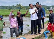 Presiden Jokowi bersama Pj Gubernur Sulsel Tinjau Penyerahan Bantuan Pompa Irigasi di Bone