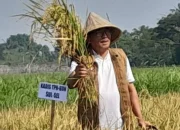 Kadis TPH-Bun Dorong Provinsi Sulsel Jadi Penggerak Utama Penyelesaian Krisis Pangan