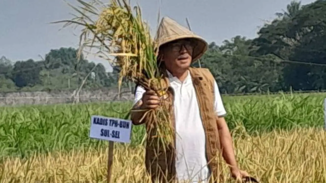 Kadis TPH-Bun Dorong Provinsi Sulsel Jadi Penggerak Utama Penyelesaian Krisis Pangan