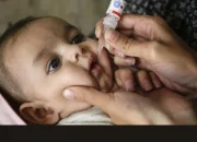 Dinkes Makassar Akan Imunisasi 184 ribu Anak Hingga 30 Hari Ke Depan