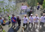 Kreditplus Kembali Tanam 5.654 Bibit Mangrove di Makassar