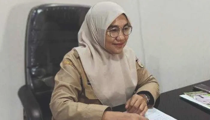Waspada DBD, Kadinkes Makassar Imbau Segera Bawa ke Puskesmas atau RS Jika Ada Gejala