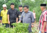 Pj Bupati Jeneponto Minta BPTH Sulsel Tangani Cabai Petani Desa Lentu Diserang Virus Trips