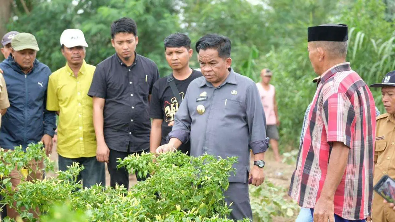 Pj Bupati Jeneponto Minta BPTH Sulsel Tangani Cabai Petani Desa Lentu Diserang Virus Trips
