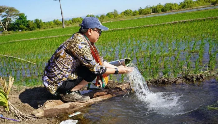 Produksi Naik Bulan Agustus, September-Oktober Program Pompanisasi Berhasil