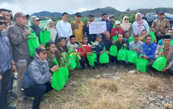 Dinas TPH-Bun Sulsel Telah Salurkan Ratusan Bibit Kopi Gratis di Empat Kabupaten 6 Dinas TPH-Bun Sulsel Telah Salurkan Ratusan Bibit Kopi Gratis di Empat Kabupaten