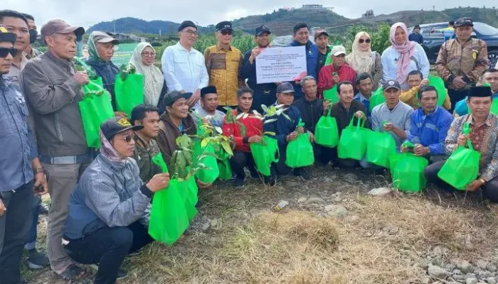 Dinas TPH-Bun Sulsel Telah Salurkan Ratusan Bibit Kopi Gratis di Empat Kabupaten