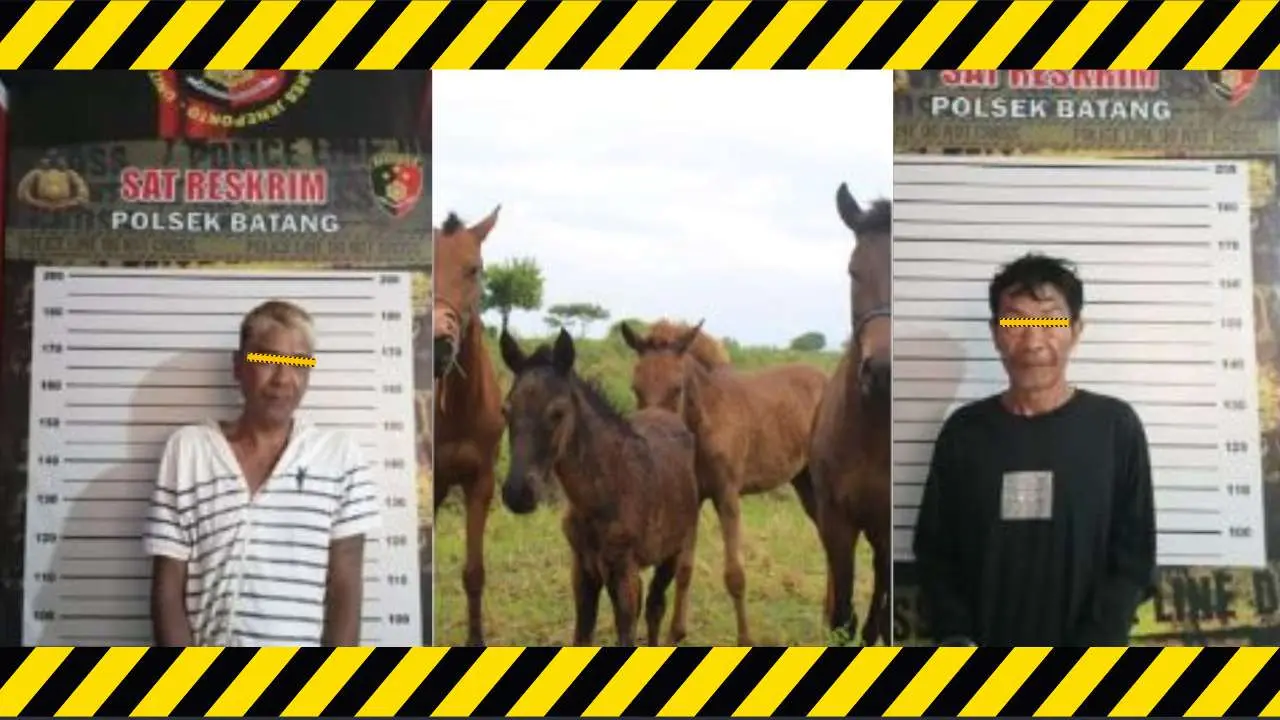 Polisi Bekuk Pelaku Pencuri Empat Ekor Kuda di Tempat Persembunyiannya di Jeneponto