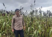 Besok Dinas TPH-Bun Sulsel Apel Siaga, Pastikan Kesiapan Petugas Memasuki Musim Tanam