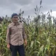 Kepala Dinas TPH-Bun Provinsi Sulawesi Selatan, Imran Jausi