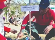 Dinas TPH-Bun Rayakan HUT Kemerdekaan RI ke-79 dengan Menanam Pohon