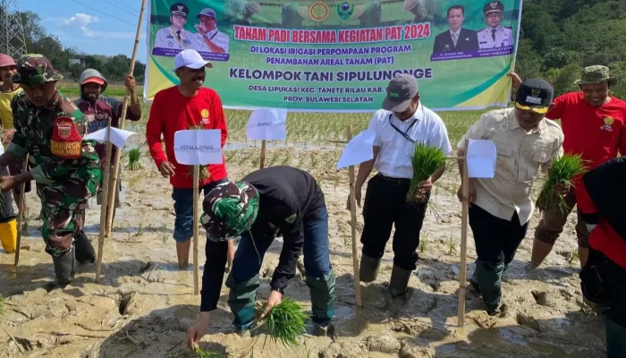 Kepala BPSI Serealia Ikuti Tanam Bersama Poktan di Program Penambahan Areal Tanam