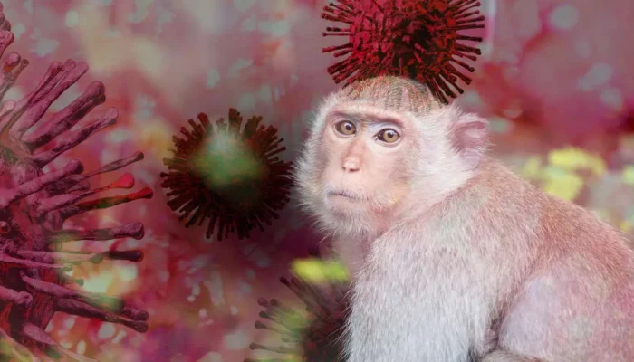 Apakah Cacar Monyet akan menjadi Pandemi Global Selanjutnya?