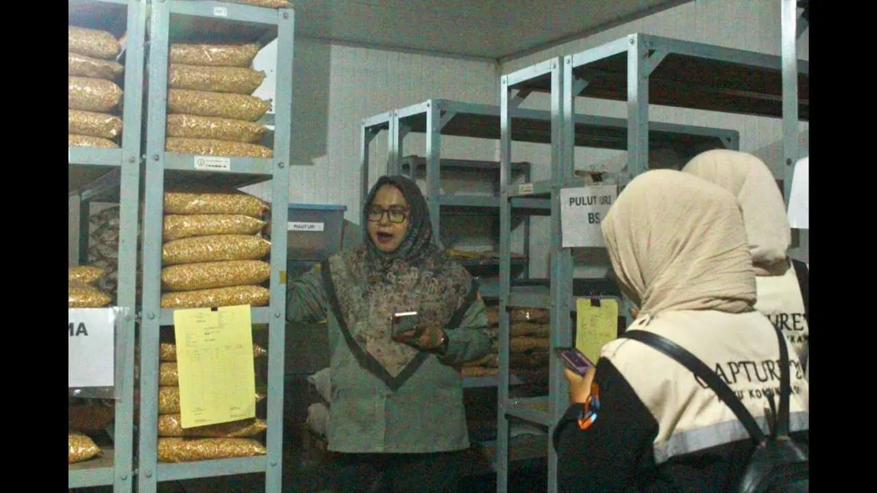 Kunjungi Gudang UPBS BSIP Serealia, Mahasiswa PPL UINAM Belajar Pengelolaan Benih