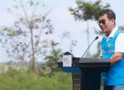 Terus Kembangkan Bahan Co-Firing Biomassa, PLN Bersama Kementan Luncurkan Model Pertanian Terpadu