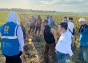 Listrik Hijau dari PLN Mampu Tekan Biaya Operasional Petani di Sulsel Hingga 83 Persen