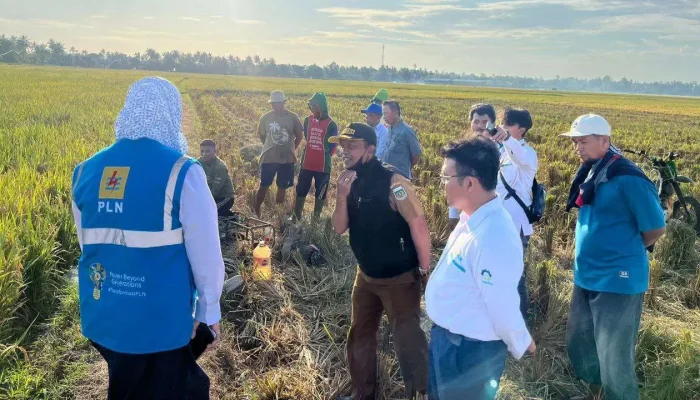 Listrik Hijau dari PLN Mampu Tekan Biaya Operasional Petani di Sulsel Hingga 83 Persen