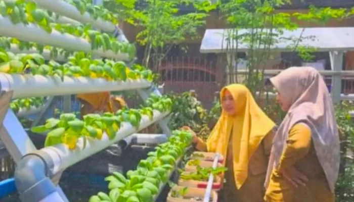 DP2 Makassar Monitoring Perkembangan Budidaya Ikan Lele Sistem Aquaponik di KWT Azalea