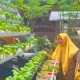 DP2 Makassar Monitoring Perkembangan Budidaya Ikan Lele Sistem Aquaponik di KWT Azalea