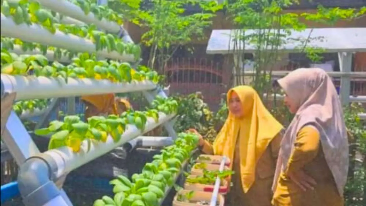 DP2 Makassar Monitoring Perkembangan Budidaya Ikan Lele Sistem Aquaponik di KWT Azalea