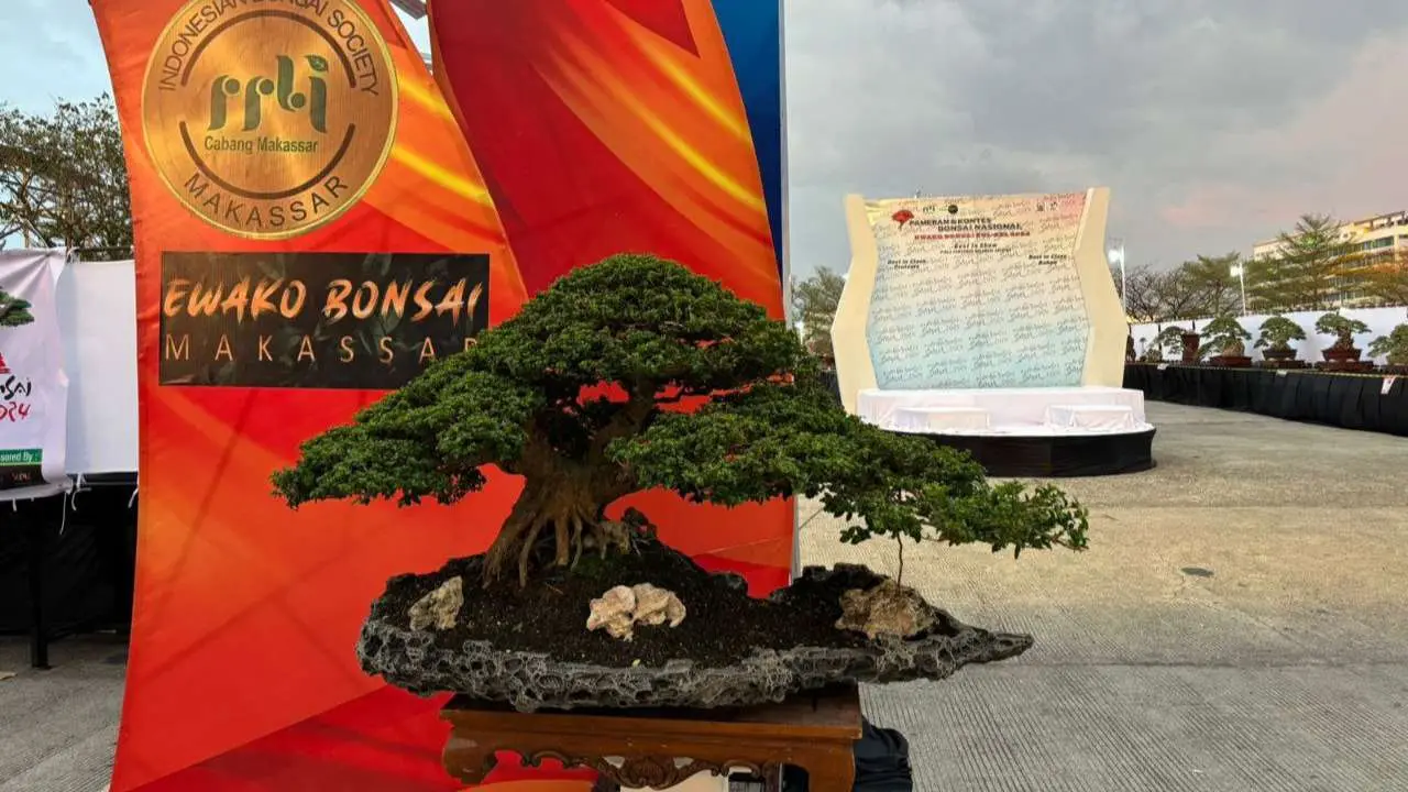 Dinas TPH-Bun Sulsel Pameran “Ewako Bonsai 2024” di Makassar, Kadis: 404 Pohon Bersaing dalam Kontes