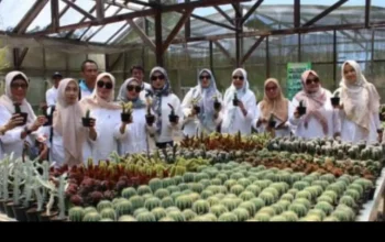 DP2 Kota Makassar Pelajari Pertanian Organik dan Hidroponik di BBPP Lembang Kementan 4 DP2 Kota Makassar Pelajari Pertanian Organik dan Hidroponik di BBPP Lembang Kementan