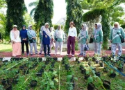 Pj Ketua TP PKK Sulsel, Launching “Kebun Aku Hatinya PKK” dihadirkan Dinas TPh-Bun Sulsel