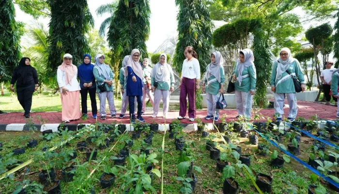 Pj Ketua TP PKK Sulsel, Launching “Kebun Aku Hatinya PKK” dihadirkan Dinas TPh-Bun Sulsel