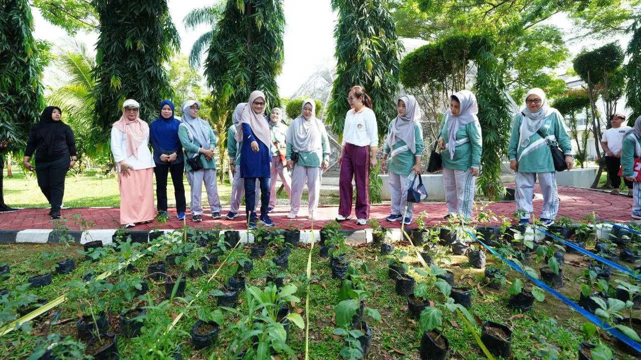 Pj Ketua TP PKK Sulsel, Launching "Kebun Aku Hatinya PKK" dihadirkan Dinas TPh-Bun Sulsel