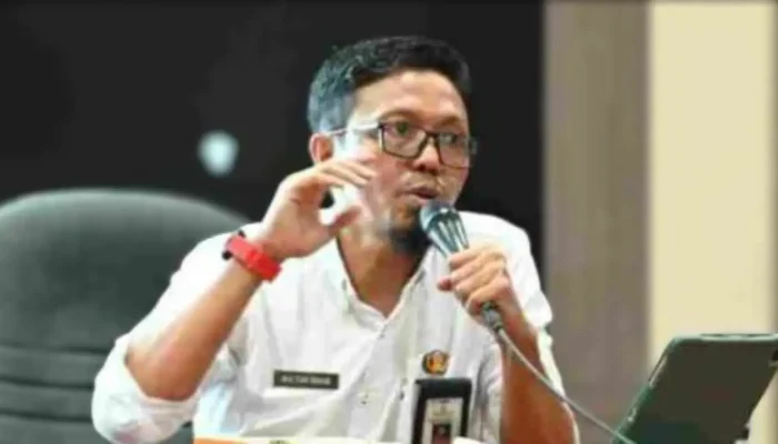 Naik Signifikan, Pemprov Sulsel Raih Indeks Pembangunan Statistik Kategori Baik 2024