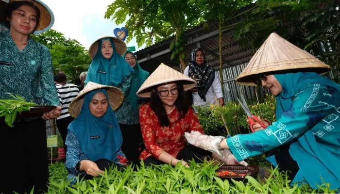 Lorong PKK Mangasa Disasar sebagai Pilot Ptoject Kampung PKK Binaan Provinsi Sulsel